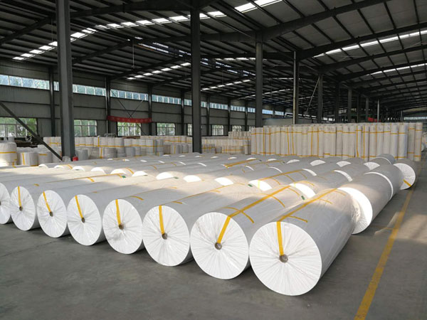 沾化狭缝式涤纶纺粘无纺布